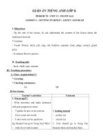 Giáo án Tiếng Anh 8 unit 13: Festivals