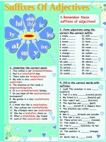 47896 suffixes of adjectives 