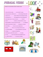 35528 phrasal verbs look 