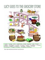 8473 lucy goes to the grocery shop 