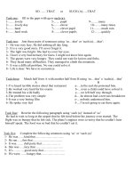 22968 sothat   such a  that 