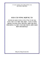 ĐÁNH GIÁ KHẢ NĂNG CUNG ỨNG VÀ SỰ GIA TĂNG NHU CẦU TIÊU THỤ ĐIỆN - NĂNG LƢỢNG TRONG NGÀNH CÔNG THƢƠNG TRÊN ĐỊA BÀN TỈNH ĐỒNG NAI ĐẾN NĂM 2020 TRONG ĐIỀU KIỆN BIẾN ĐỔI KHÍ HẬU