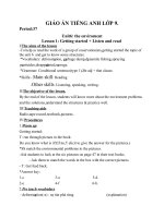 Giáo án Tiếng Anh 9 unit 6: The environment