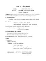 Giáo án Tiếng Anh 9 Unit 1: A visit from a pen pal