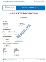 Các loại câu trong tiếng anh 