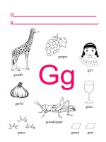 50386 alphabet letter g 