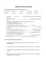 13156 crime phrasal verbs and idioms 