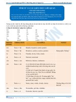 Tính từ và các kiến thức liên quan phần 1 