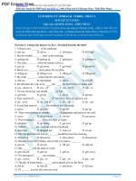 Bài tập về cụm động từ phần 2 