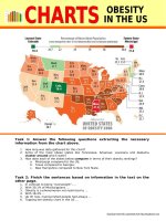 8438 reading charts 1 obesity in the us with key business english 