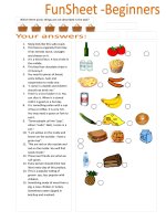 18328 funsheet for beginners picnic 
