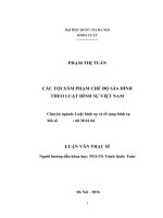 Các tội xâm phạm chế độ gia đình theo luật hình sự việt nam 