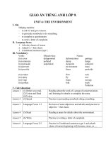 Giáo án Tiếng Anh 9 unit 6: The environment