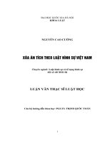 Xóa án tích theo luật hình sự việt nam 