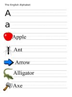 53871 the alphabet  letter a 