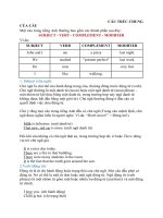 Cấu trúc chung của câu trong tiếng anh