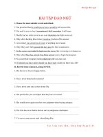 Bài tập đảo ngữ trong tiếng Anh