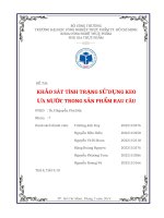 KHẢO SÁT TÌNH TRẠNG SỬ DỤNG KEO  ƯA NƯỚC TRONG SẢN PHẨM RAU CÂU