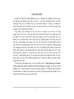 ĐỀ tài DAO ĐỘNG uốn của tấm MỎNG HÌNH CHỮ NHẬT với điều KIỆN BIÊN KHÔNG đối XỨNG 