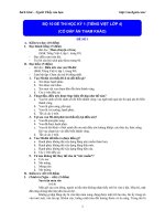 bo-10-de-thi-hki-mon-tieng-viet-lop-4