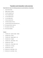 Transitive and intransitive verbs exercise 2 