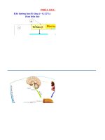 Phiếu học tập: Sơ đồ quá trình điều hòa đường huyết