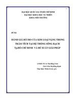 ĐỀ tài ĐÁNH GIÁ rủi RO của KIM LOẠI NẶNG TRONG TRẦM TÍCH tại hệ THỐNG SÔNG RẠCH THÀNH PHỐ hồ CHÍ MINH và đề XUẤT GIẢI PHÁP 