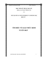 BÀI tập lớn tìm HIỂU về GIAO THỨC ĐỊNH TUYẾN BGP 