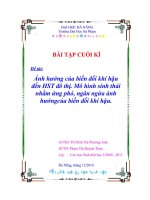 ĐỀ tài ẢNH HƯỞNG của BIẾN đổi KHÍ hậu đến HST đô THỊ 