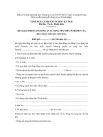 Mẫu bản khai thông tin đăng ký sử dụng tên miền Internet