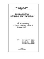 BÁO cáo hệ THỐNG THÔNG TIN DI ĐỘNG THẾ hệ 3 CDMA2000 