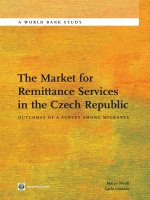 The Market for Remittance Services in the Czech Republic