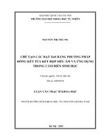 Chế tạo các hạt zns bằng phương pháp đồng kết tủa kết hợp siêu âm và ứng dụng trong cảm biến sinh 