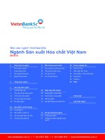 CTS+-+Ngành+hóa+chất+Việt+Nam+-+082015+(vns) (1)