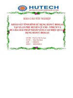 BÁO cáo KHẢO sát TÌNH HÌNH sử DỤNG hầm ủ BIOGAS tại xã AN PHÚ HUYỆN củ CHI   THÀNH PHỐ hồ CHÍ MINH và đưa RA GIẢI PHÁP NHẰM NÂNG CAO HIỆU QUẢ sử DỤNG hầm ủ BIOGAS 