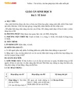 Giáo án Sinh học 8 bài Tế bào