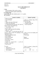 Giáo án Tiếng Anh 10 unit 14: The World cup
