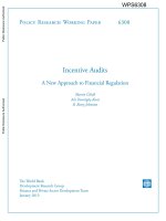 Incentive Audits A New Approach to Financial Regulation