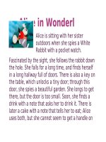 14377 alice in wonderland (1) 