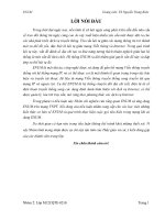 KĨ THUẬT CƠ BẢN VÀ ỨNG DỤNG ENUM VÀO THỰC TẾ TRÊN MẠNG VNPT