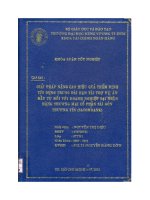 Giải pháp nâng cao hiệu quả thẩm định tín dụng dài hạn tài trợ dự án đầu tư đối với doanh nghiệp tại ngân hàng TMCP Sài Gòn