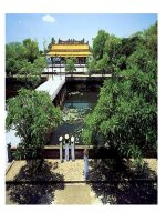 Sinh 7_Bài 5_Trùng biến hình và trùng giày