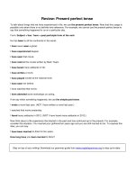 Review present perfect tense 