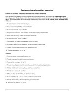 Sentence transformation exercise 3 