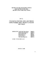 ĐỀ tài ỨNG DỤNG ENZYME AMYLASE TRONG CÔNG NGHIỆP THỰC PHẨM và NGUỒN THU NHẬN 
