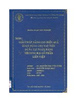 Giải pháp nhằm nâng cao hiệu quả hoạt động cho vay tiêu dùng tại ngân hàng TMCP Liên Việt