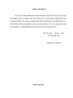 Nguyên nhân mất nước của triều nguyễn và bài học với vấn đề bảo vệ tổ quốc việt nam hiện nay 