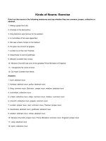 Kinds of nouns exercise 