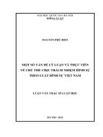 Một số vấn đề lý luận và thực tiễn về chủ thể chịu trách nhiệm hình sự theo luật hình sự việt nam 