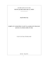 Nghiên cứu ảnh hưởng của bức xạ gamma lên tính chất quang của chấm lượng tử cdse 